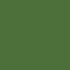 grasgroen RAL 6010