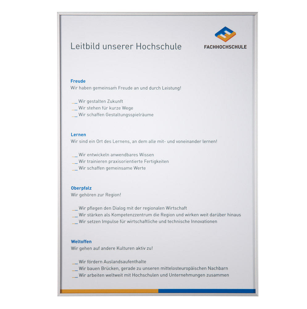 Insteekblad informatiebord Mandro DIN A4 | 296 | 209