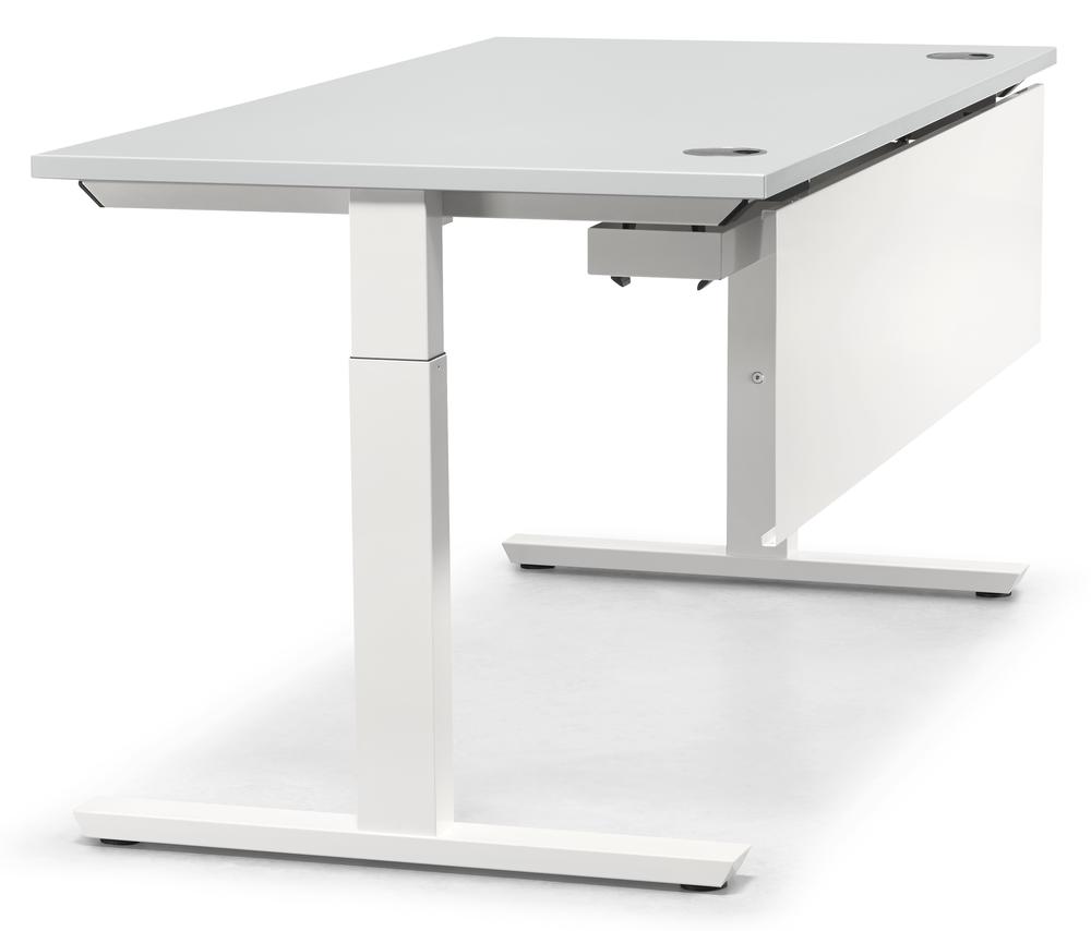 Bureau T-poot PROFI MODUL | lichtgrijs | 1400 | wit