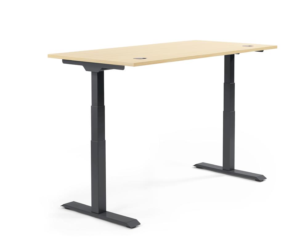 Verstelbare bureau FLEX MODUL | esdoorndecor | 1600 | zwart